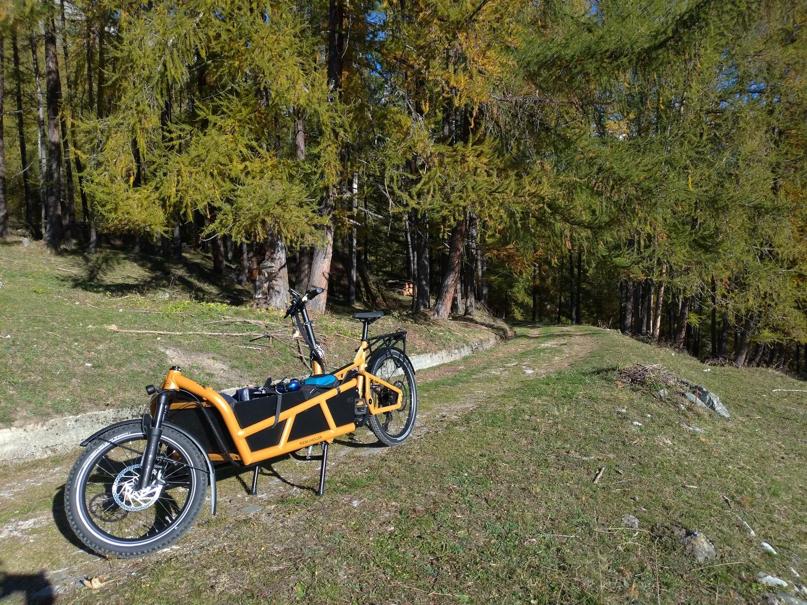 BigaAdventure 2025, Cervinia — cargo bike nel bosco di larici