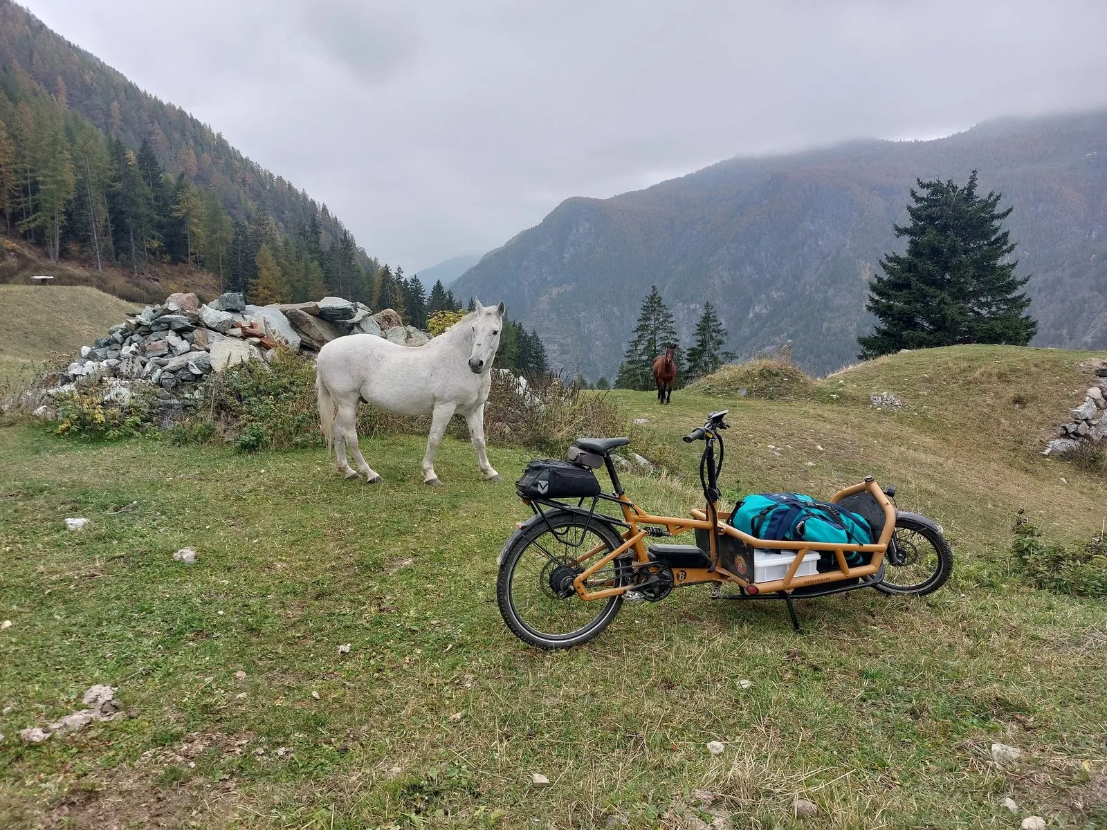 BigaAdventure 2025, Cervinia — cargo bike e un cavallo al pascolo