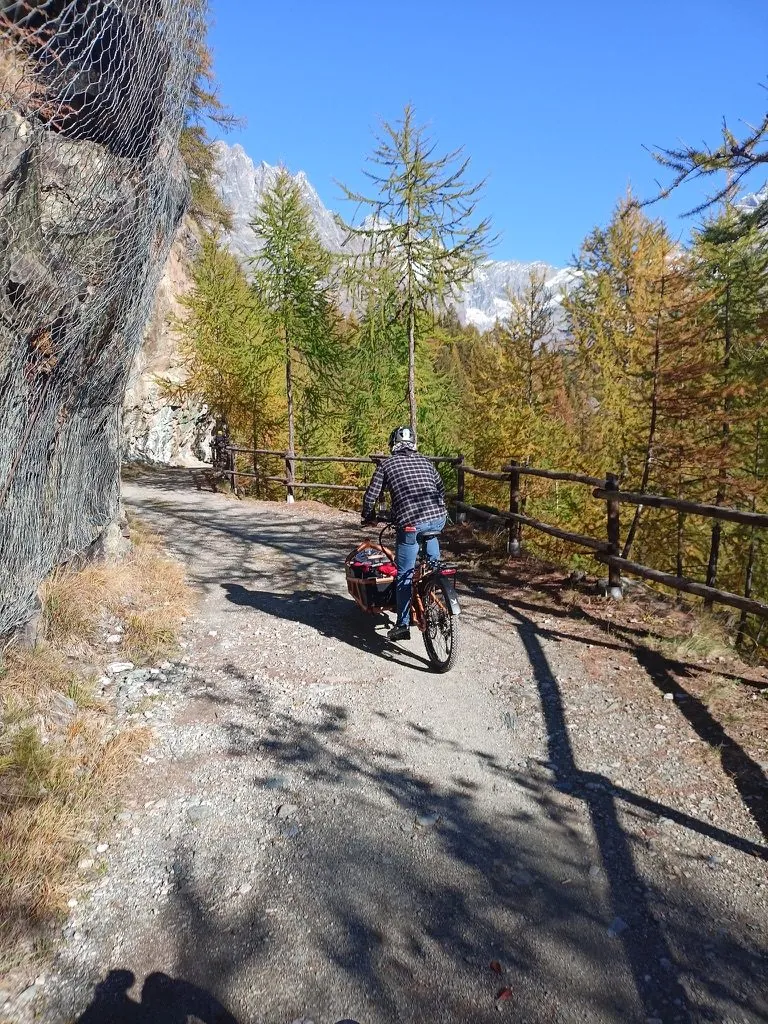 BigaAdventure 2025, Cervinia — in sella sul sentiero a mezza costa tra i larici